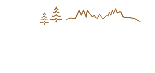Logo 2 Waldea